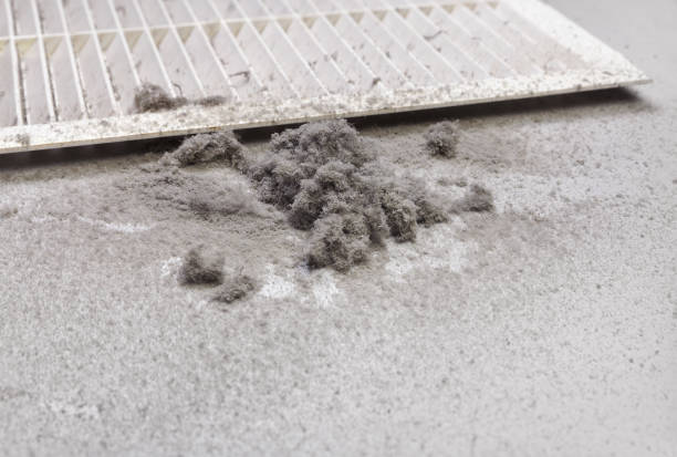 Best Home Air Vent Cleaning  in Baltic, SD